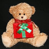 Plush Brown Bear