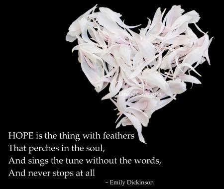 Hope is the thing with feathers - Emily Dickinson