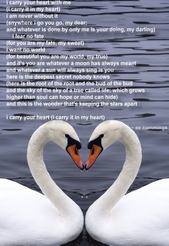 i carry your heart in my heart