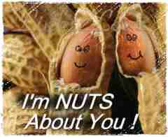 I'm Nuts About You!