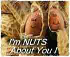 I'm Nuts About You!