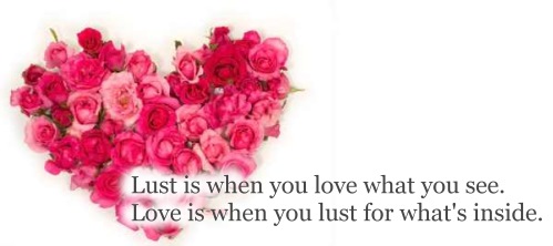 Lust is when you love what you see. Love is when you lust for what's inside
