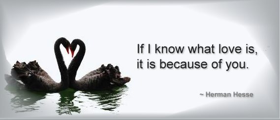 Quote - If I know what love is it is because of you.