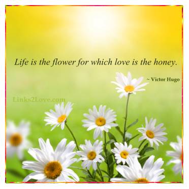 Life is the flower for which love is the honey