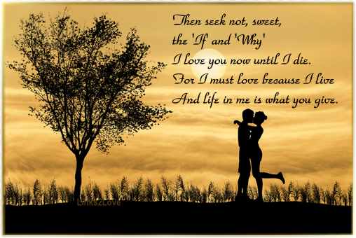 Love Poem -in graphics - Because She Would Ask Me Why I Loved Her