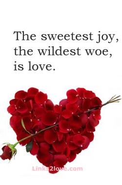 The sweetest joy, the wildest woe, is love.