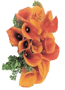 Wedding flowers - Calla lily  wedding bouquet