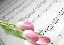 Wedding Music