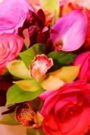 PINK Wedding Pallette