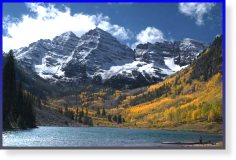 Aspen beauty