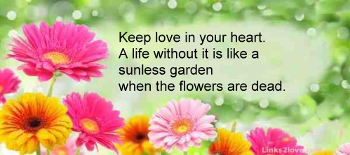 Keep love in your heart...