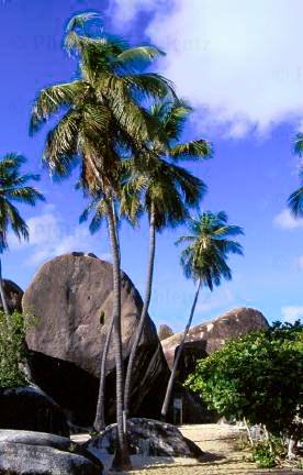 British Virgin Islands