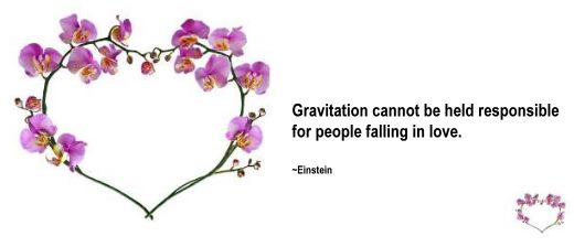 Gravitation cannot be held responsible for people falling in love - Einstein