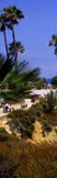 Sunny vacation spot, La Jolla, CA