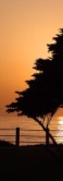 La Jolla romantic getaway beaches