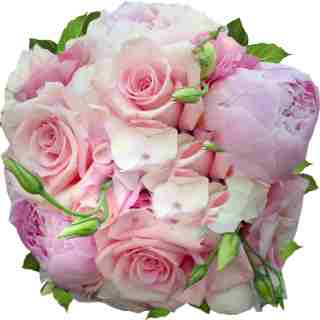 Soft pink roses and peonies in bridesmaid bouquet