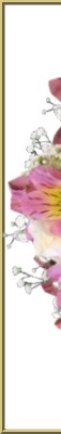Click to go to lavender and pink wedding colors.